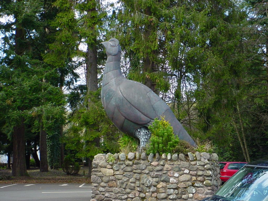 Distillery (5)